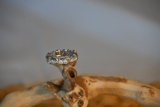 Harmony Moissanite Eternity Ring
